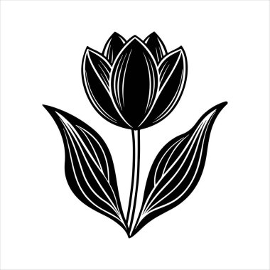 Beyaz arkaplanı olan lale çiçeği silueti vektörü