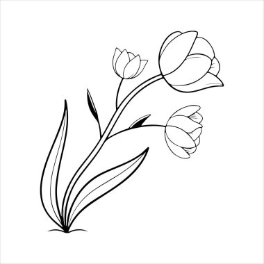 Beyaz arkaplanı olan lale çiçeği silueti vektörü