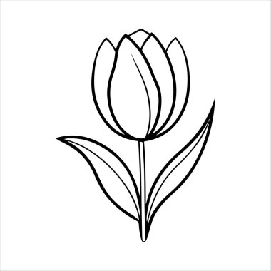 Beyaz arkaplanı olan lale çiçeği silueti vektörü