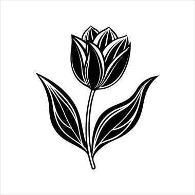 Beyaz arkaplanı olan lale çiçeği silueti vektörü