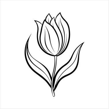 Beyaz arkaplanı olan lale çiçeği silueti vektörü