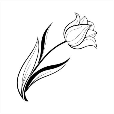 Beyaz arkaplanı olan lale çiçeği silueti vektörü