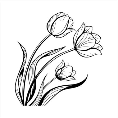 Beyaz arkaplanı olan lale çiçeği silueti vektörü