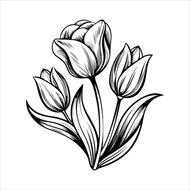 Beyaz arkaplanı olan lale çiçeği silueti vektörü