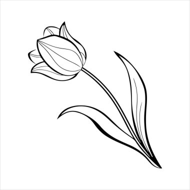 Beyaz arkaplanı olan lale çiçeği silueti vektörü