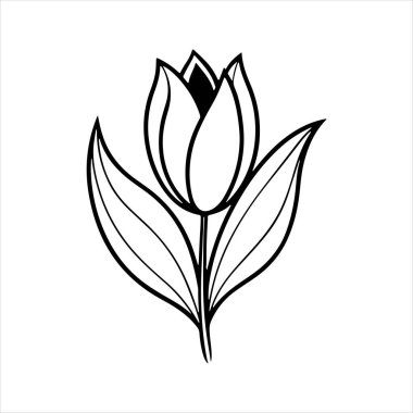 Beyaz arkaplanı olan lale çiçeği silueti vektörü