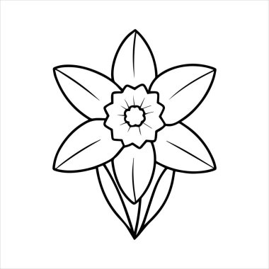 Nergis çiçeği silueti vektör çizimi