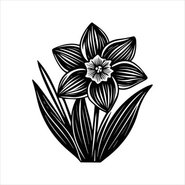 Nergis çiçeği silueti vektör çizimi