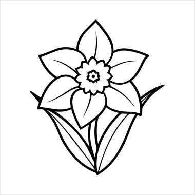 Nergis çiçeği silueti vektör çizimi