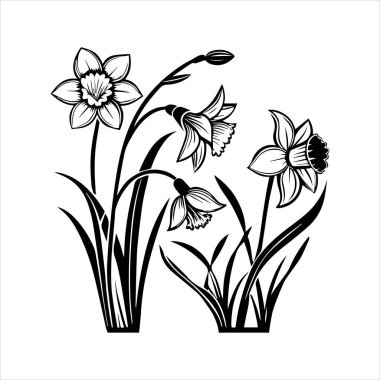 Nergis çiçeği silueti vektör çizimi