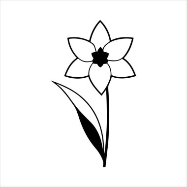 Nergis çiçeği silueti vektör çizimi
