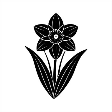 Nergis çiçeği silueti vektör çizimi