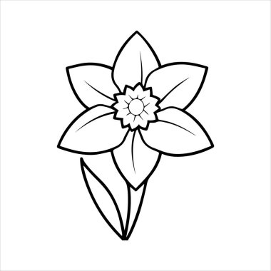 Nergis çiçeği silueti vektör çizimi