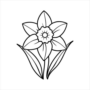 Nergis çiçeği silueti vektör çizimi