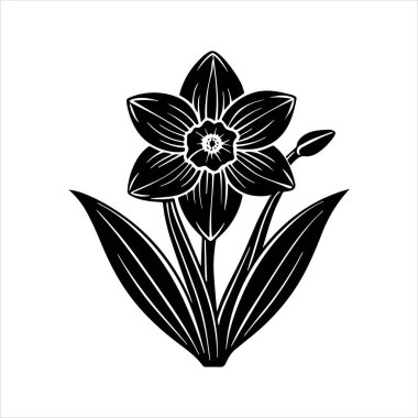 Nergis çiçeği silueti vektör çizimi