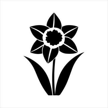 Nergis çiçeği silueti vektör çizimi
