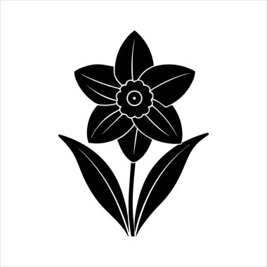 Nergis çiçeği silueti vektör çizimi