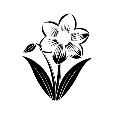 Nergis çiçeği silueti vektör çizimi