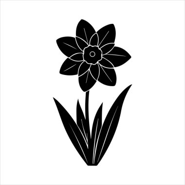 Nergis çiçeği silueti vektör çizimi