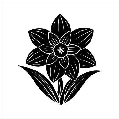 Nergis çiçeği silueti vektör çizimi