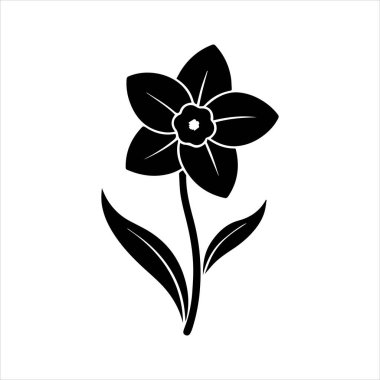 Nergis çiçeği silueti vektör çizimi