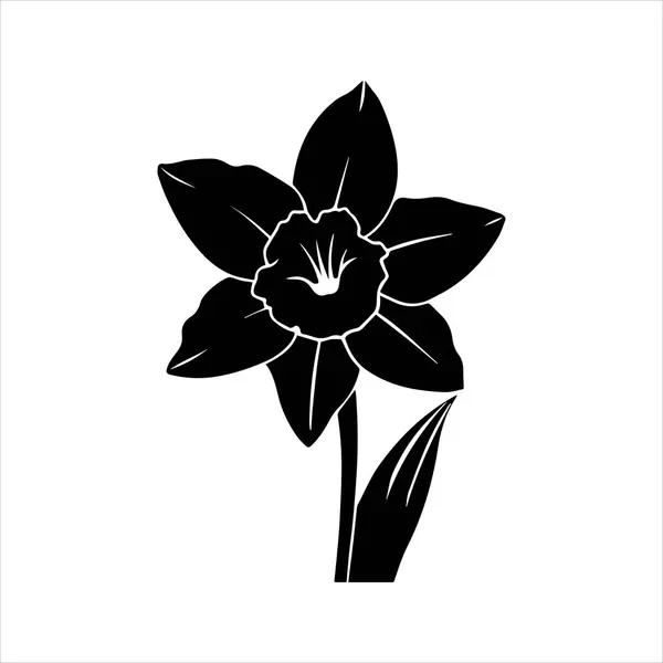 Nergis çiçeği silueti vektör çizimi