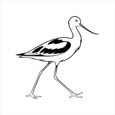 avocet birds siluet vektör sanat çizimi beyaz arka planda