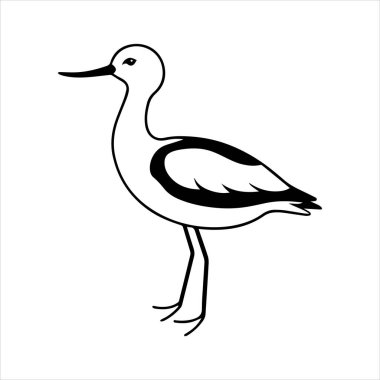 avocet birds siluet vektör sanat çizimi beyaz arka planda
