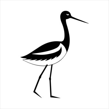 avocet birds siluet vektör sanat çizimi beyaz arka planda