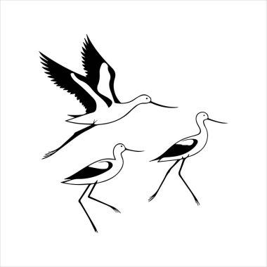 avocet birds siluet vektör sanat çizimi beyaz arka planda