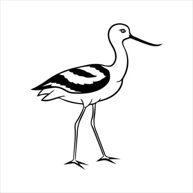 avocet birds siluet vektör sanat çizimi beyaz arka planda