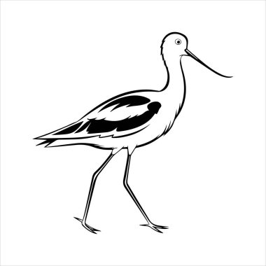 avocet birds siluet vektör sanat çizimi beyaz arka planda