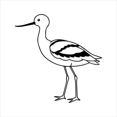 avocet birds siluet vektör sanat çizimi beyaz arka planda