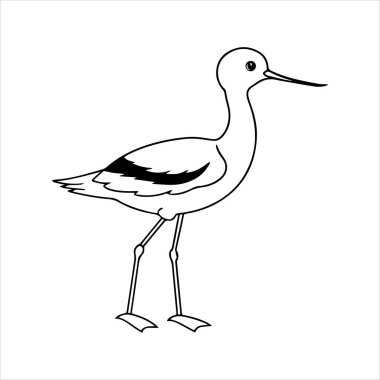 avocet birds siluet vektör sanat çizimi beyaz arka planda