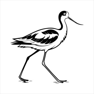 avocet birds siluet vektör sanat çizimi beyaz arka planda
