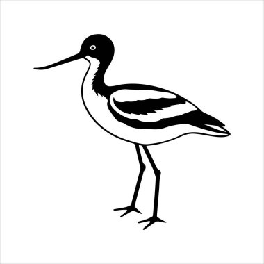 avocet birds siluet vektör sanat çizimi beyaz arka planda
