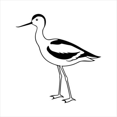avocet birds siluet vektör sanat çizimi beyaz arka planda