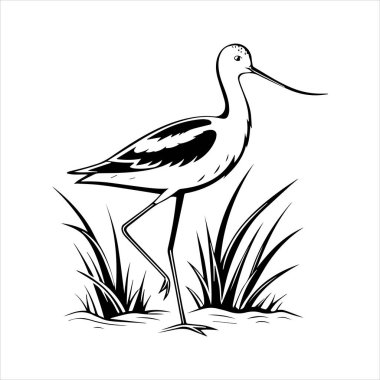 avocet birds siluet vektör sanat çizimi beyaz arka planda
