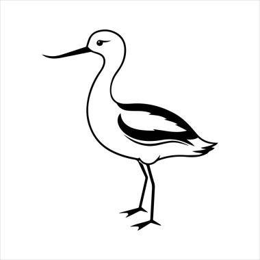 avocet birds siluet vektör sanat çizimi beyaz arka planda