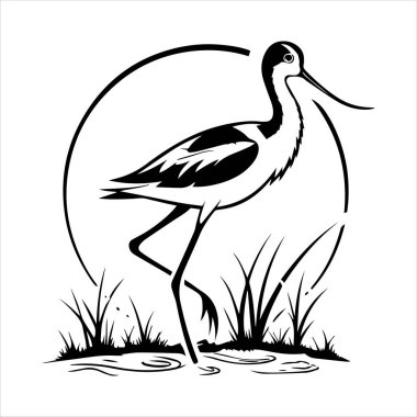 avocet birds siluet vektör sanat çizimi beyaz arka planda