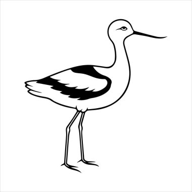 avocet birds siluet vektör sanat çizimi beyaz arka planda