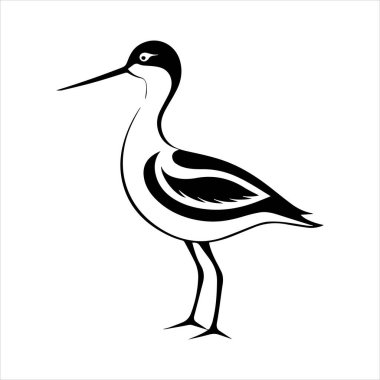 avocet birds siluet vektör sanat çizimi beyaz arka planda