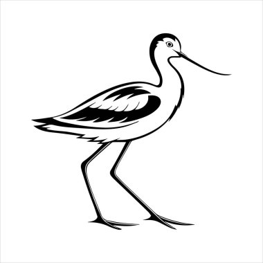 avocet birds siluet vektör sanat çizimi beyaz arka planda