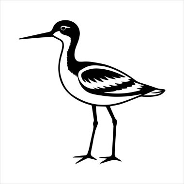 avocet birds siluet vektör sanat çizimi beyaz arka planda