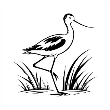 avocet birds siluet vektör sanat çizimi beyaz arka planda