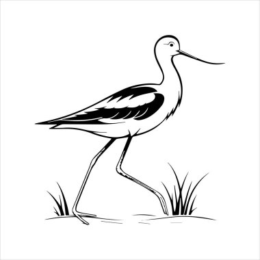 avocet birds siluet vektör sanat çizimi beyaz arka planda