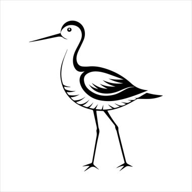 avocet birds siluet vektör sanat çizimi beyaz arka planda