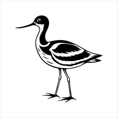 avocet birds siluet vektör sanat çizimi beyaz arka planda