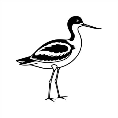 avocet birds siluet vektör sanat çizimi beyaz arka planda