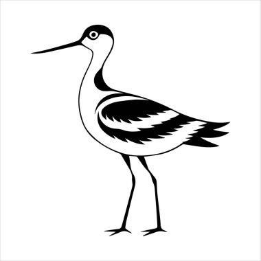 avocet birds siluet vektör sanat çizimi beyaz arka planda
